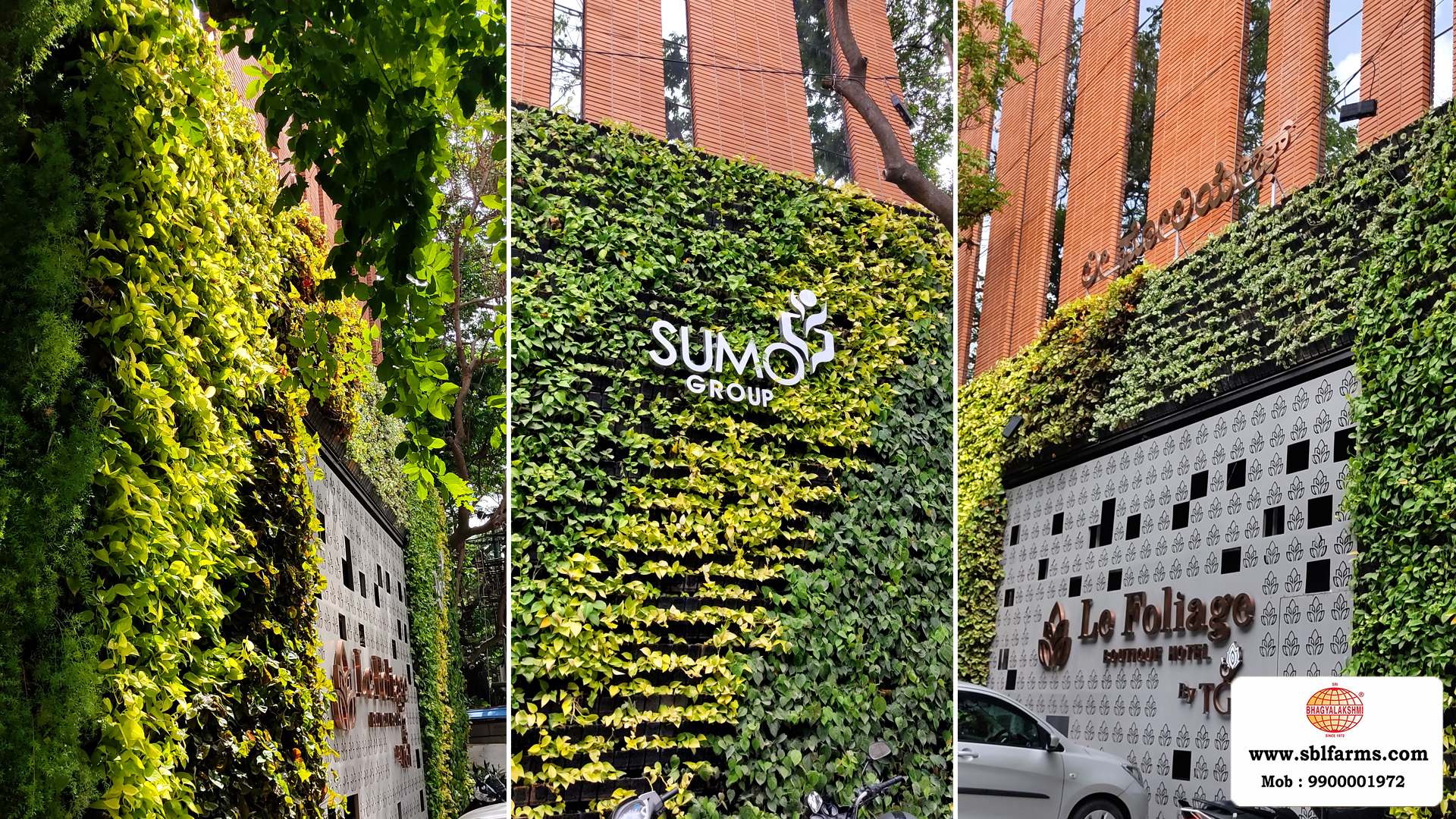 Sbl Farms Green walls and Living walls, Vertical Garden, Bio Curtains,Green wall or vertical garden installed  for Le Foliage hotel  in JP Nagar Bangalore from Sri bhagyalakshmi Farms